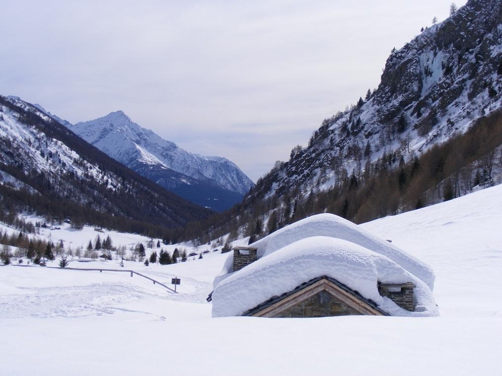 Itinerari per pochi (o quasi): monte Aviolo